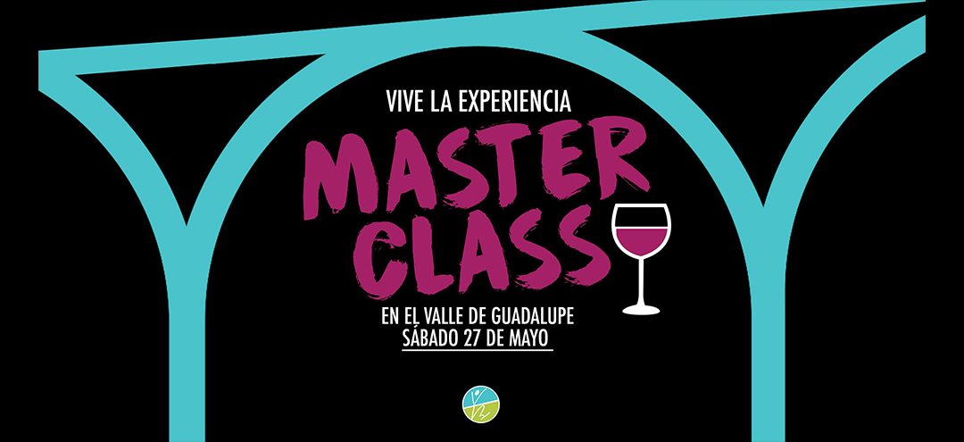 Vive Barre MASTER CLASS