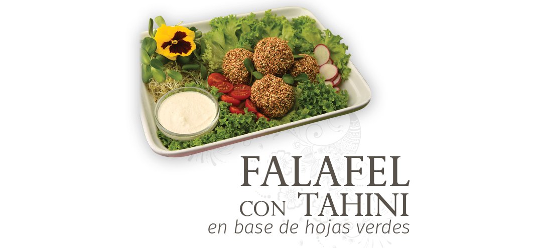 Falafel con Tahini en base de Hojas Verdes